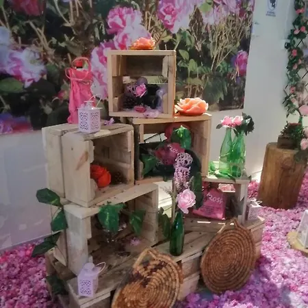 Apartament Veranda *